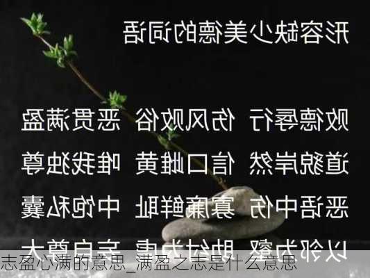 志盈心满的意思_满盈之志是什么意思