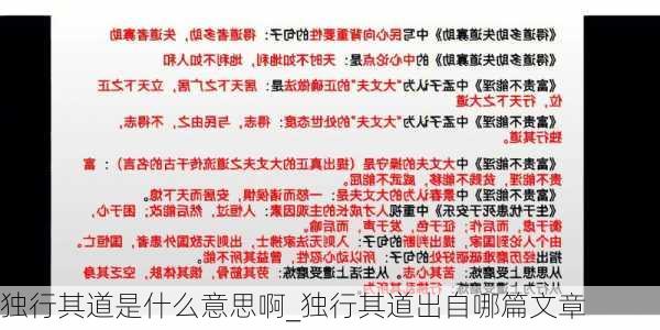 独行其道是什么意思啊_独行其道出自哪篇文章