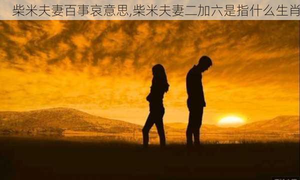 柴米夫妻百事哀意思,柴米夫妻二加六是指什么生肖