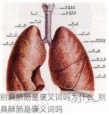 别具肺肠是褒义词吗为什么_别具肺肠是褒义词吗