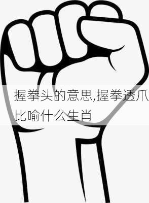 握拳头的意思,握拳透爪比喻什么生肖