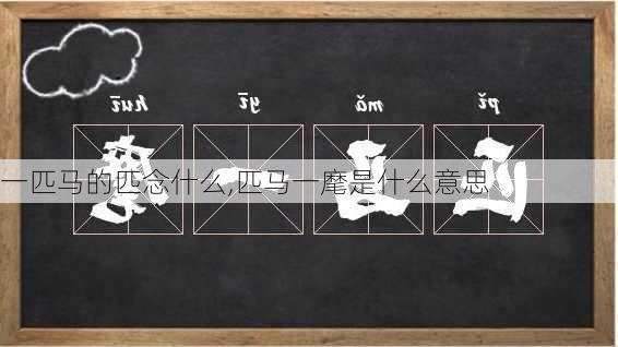 一匹马的匹念什么,匹马一麾是什么意思