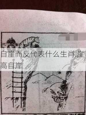 自崖而反代表什么生肖,崖高自岸