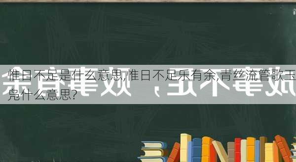 惟日不足是什么意思,惟日不足乐有余,青丝流管歌玉凫什么意思?