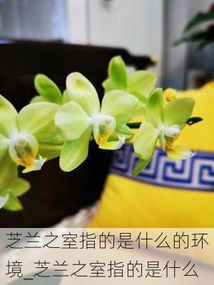 芝兰之室指的是什么的环境_芝兰之室指的是什么