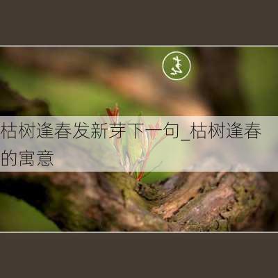 枯树逢春发新芽下一句_枯树逢春的寓意