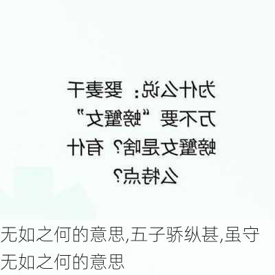 无如之何的意思,五子骄纵甚,虽守无如之何的意思