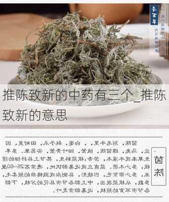 推陈致新的中药有三个_推陈致新的意思