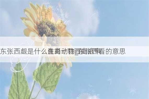 东张西觑是什么生肖动物_东张西看的意思