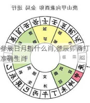 参辰日月指什么肖,参辰卯酉打准确生肖