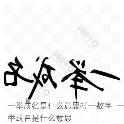 一举成名是什么意思打一数字_一举成名是什么意思