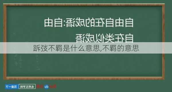 跅弢不羁是什么意思,不羁的意思