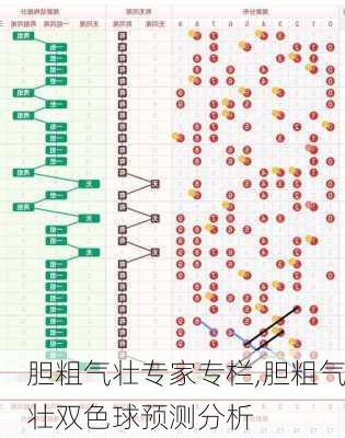 胆粗气壮专家专栏,胆粗气壮双色球预测分析