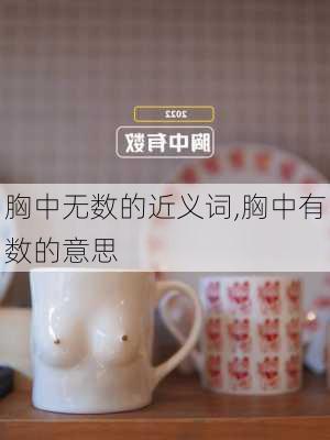 胸中无数的近义词,胸中有数的意思