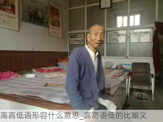 高言低语形容什么意思_言高语低的比喻义