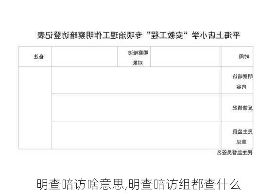 明查暗访啥意思,明查暗访组都查什么
