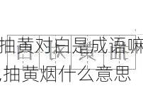 抽黄对白是成语嘛,抽黄烟什么意思