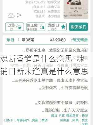 魂断香销是什么意思_魂销目断未逢真是什么意思