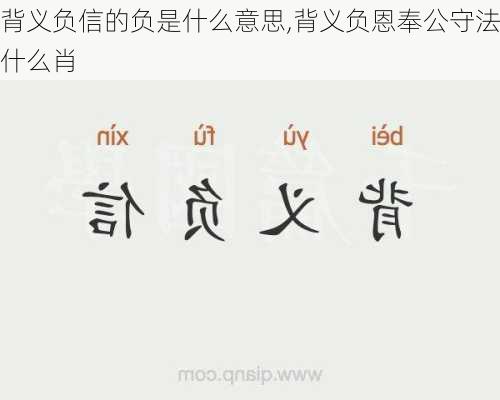 背义负信的负是什么意思,背义负恩奉公守法什么肖