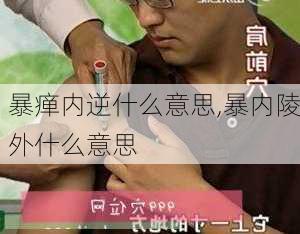 暴瘅内逆什么意思,暴内陵外什么意思