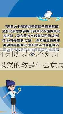 不知所以然,不知所以然的然是什么意思