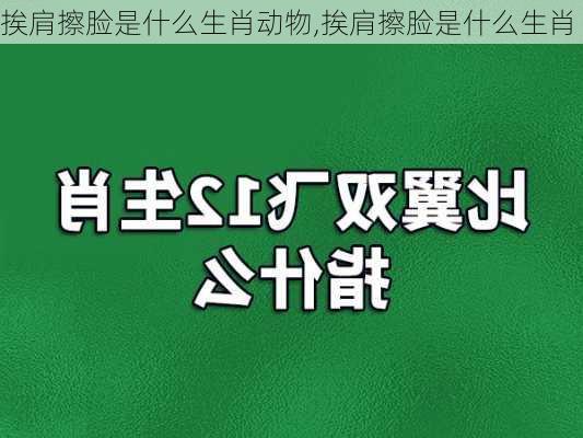 挨肩擦脸是什么生肖动物,挨肩擦脸是什么生肖