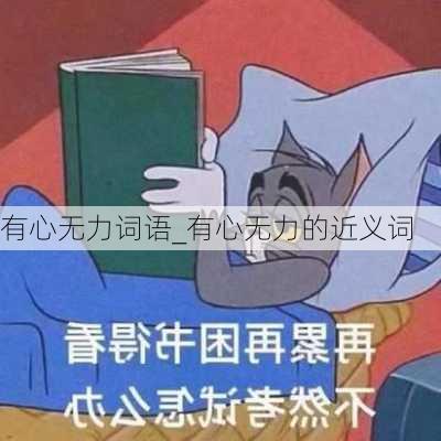 有心无力词语_有心无力的近义词