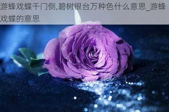 游蜂戏蝶千门侧,碧树银台万种色什么意思_游蜂戏蝶的意思