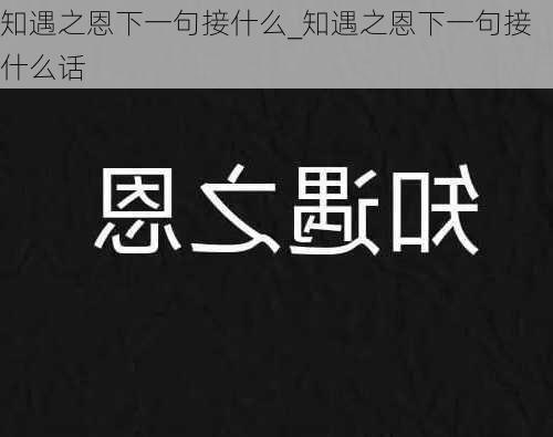 知遇之恩下一句接什么_知遇之恩下一句接什么话