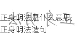 正身明法是什么意思,正身明法造句