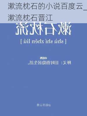 漱流枕石的小说百度云_漱流枕石晋江