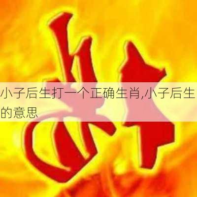 小子后生打一个正确生肖,小子后生的意思