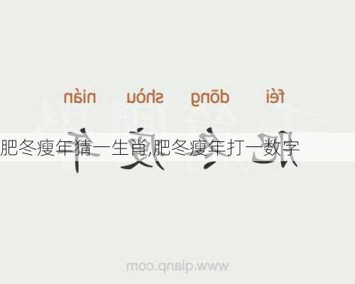 肥冬瘦年猜一生肖,肥冬瘦年打一数字