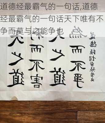 道德经最霸气的一句话,道德经最霸气的一句话天下唯有不争而莫与之能争也