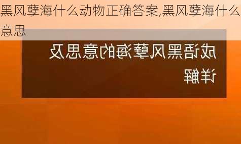 黑风孽海什么动物正确答案,黑风孽海什么意思