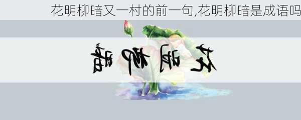 花明柳暗又一村的前一句,花明柳暗是成语吗