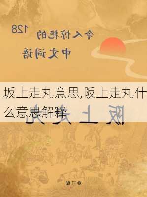 坂上走丸意思,阪上走丸什么意思解释