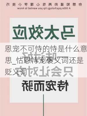 恩宠不可恃的恃是什么意思_怙恩恃宠褒义词还是贬义词