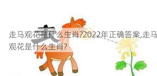 走马观花是什么生肖?2022年正确答案,走马观花是什么生肖?