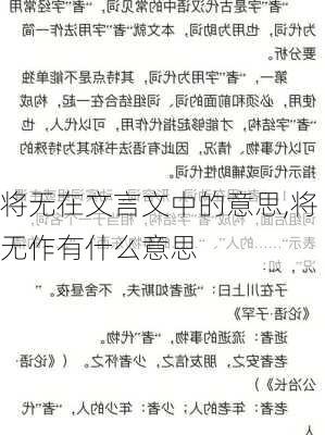 将无在文言文中的意思,将无作有什么意思