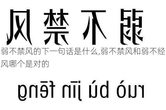 弱不禁风的下一句话是什么,弱不禁风和弱不经风哪个是对的