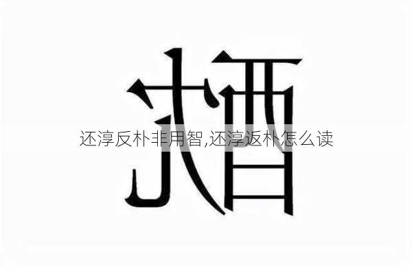 还淳反朴非用智,还淳返朴怎么读