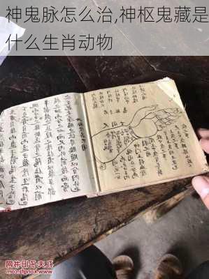 神鬼脉怎么治,神枢鬼藏是什么生肖动物