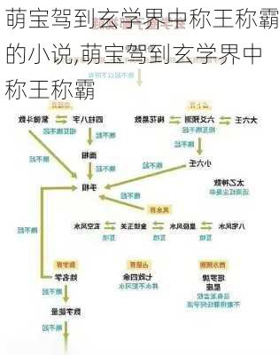 萌宝驾到玄学界中称王称霸的小说,萌宝驾到玄学界中称王称霸