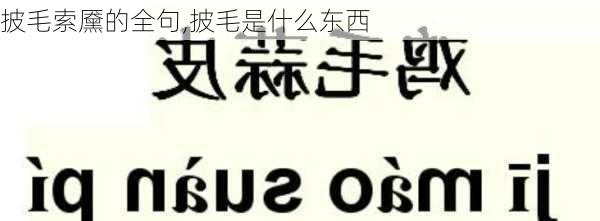 披毛索黡的全句,披毛是什么东西