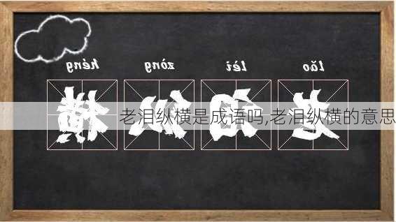 老泪纵横是成语吗,老泪纵横的意思