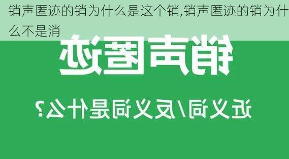 销声匿迹的销为什么是这个销,销声匿迹的销为什么不是消