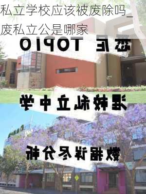 私立学校应该被废除吗_废私立公是哪家