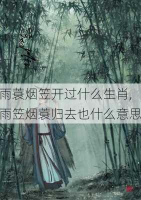 雨蓑烟笠开过什么生肖,雨笠烟蓑归去也什么意思