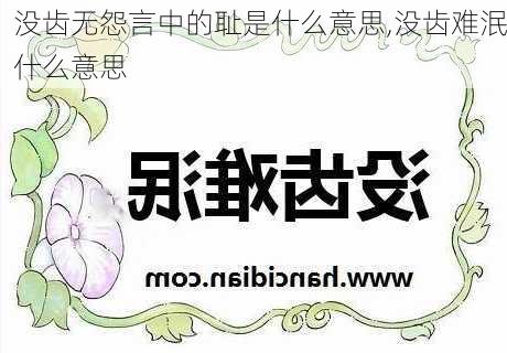 没齿无怨言中的耻是什么意思,没齿难泯什么意思